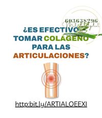 WhatsApp Image 2022-12-19 at 12.05.33